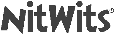 NitWits Head Lice Treatment Logo